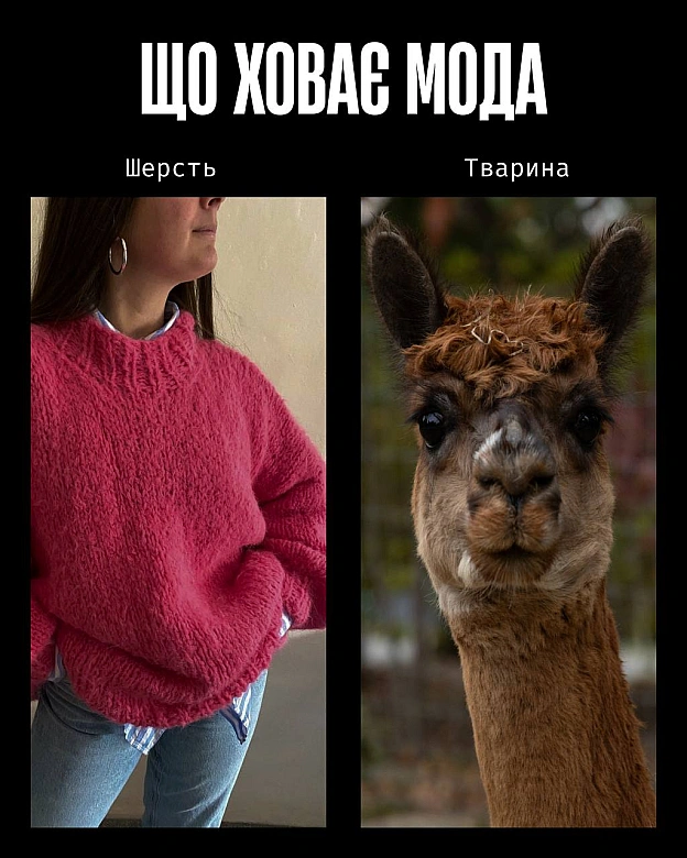 У моді краса часто будується на стражданні.Якщо шкіра, хутро чи вовна — це норма, то насильство закладене в основу індустрії. ... - Кожна тварина on we.ua