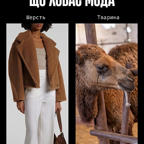 У моді краса часто будується на стражданні.Якщо шкіра, хутро чи вовна — це норма, то насильство закладене в основу індустрії. ... - Кожна тварина on we.ua