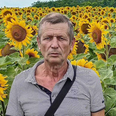 Сонячні вітання з полів! 🌻💛 Нарешті ця краса розцвіла! Сезон соняшників відкрито! 😍 Ловіть момент, насолоджуйтесь яскравими барв... - Репортер інформує на we.ua
