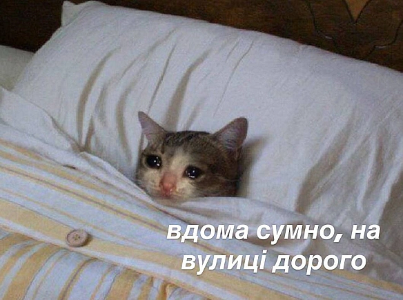 Баба і Кіт на we.ua