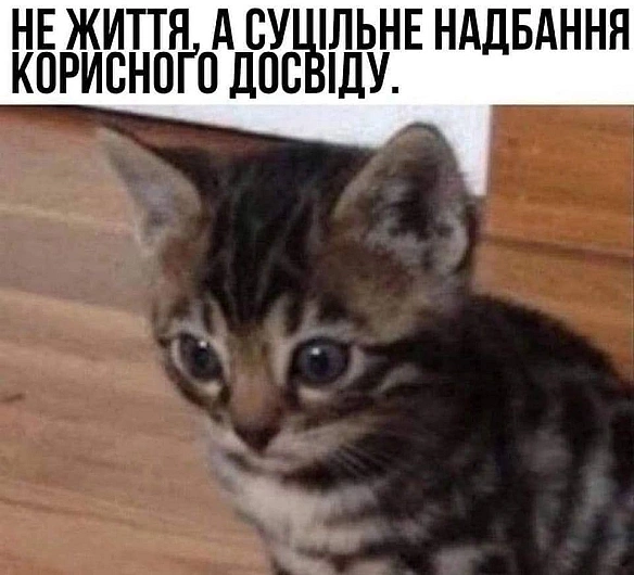 Баба і Кіт on we.ua