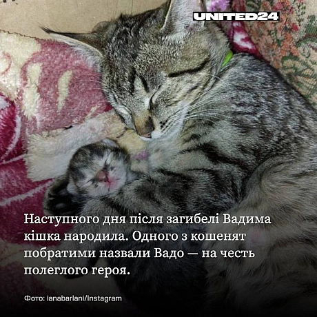 Микита дев’ять місяців чекав на подарунок від тата Вадима, який загинув на фронті. Побратими передали синові загиблого героя кош... - UNITED24 на we.ua