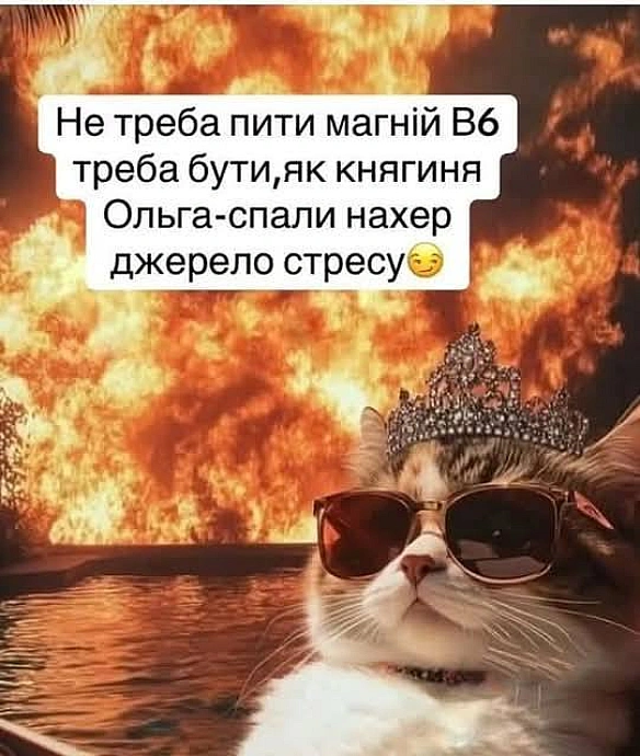 Баба і Кіт на we.ua