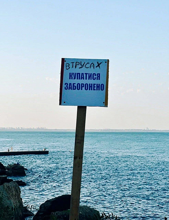 Баба і Кіт на we.ua