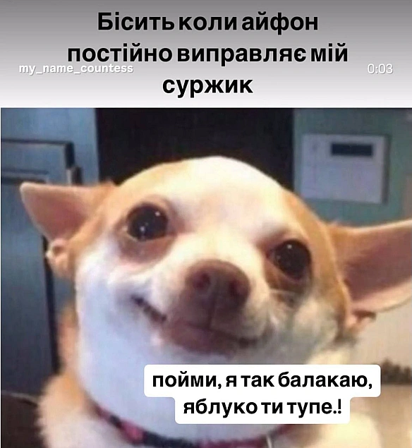 Баба і Кіт на we.ua