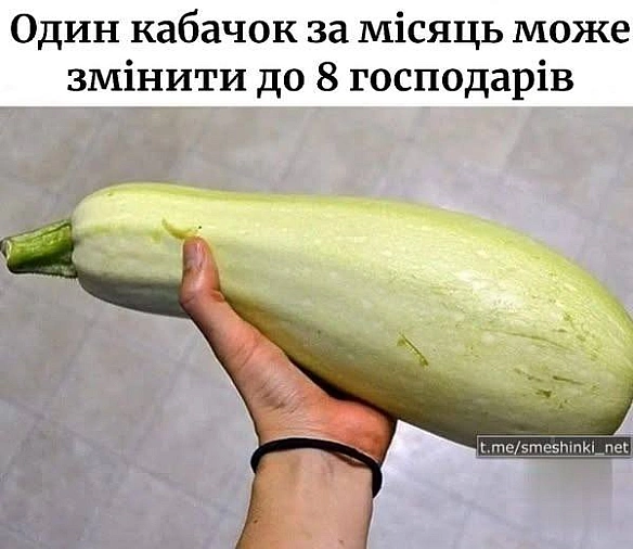 Баба і Кіт на we.ua