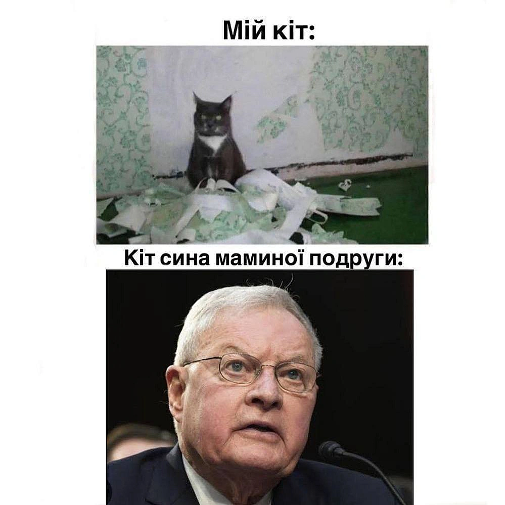 Баба і Кіт на we.ua