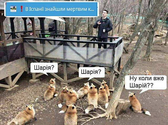 Баба і Кіт на we.ua