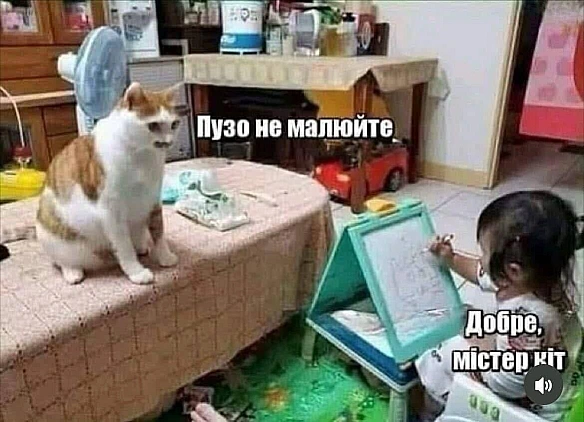 Баба і Кіт на we.ua
