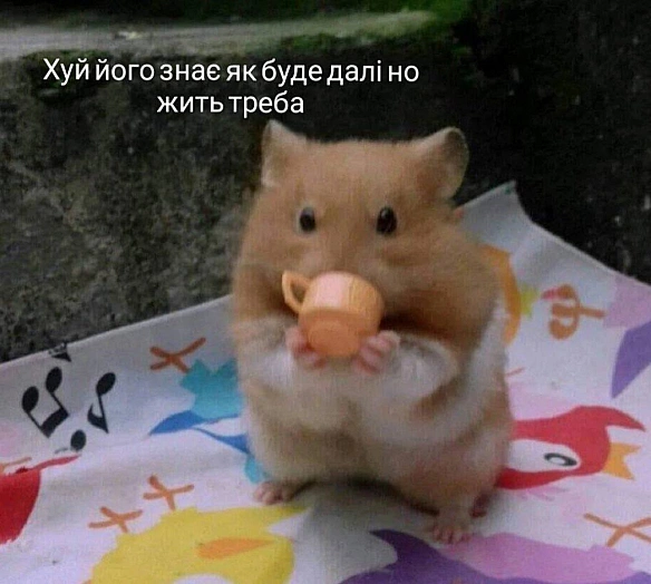 Баба і Кіт на we.ua