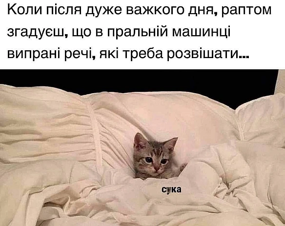 Баба і Кіт на we.ua