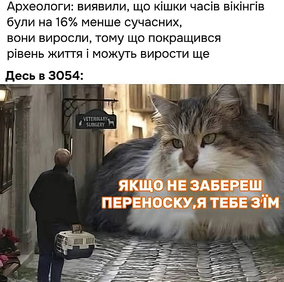 Баба і Кіт на we.ua
