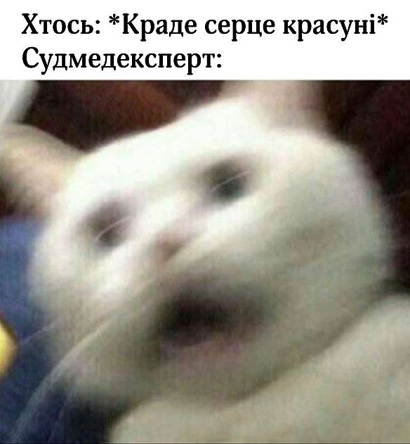 Баба і Кіт на we.ua