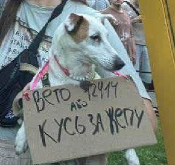 Баба і Кіт на we.ua