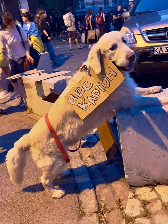 Баба і Кіт на we.ua