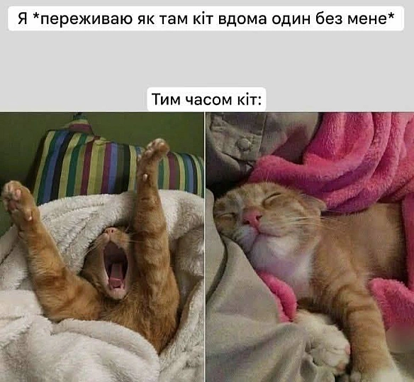 Баба і Кіт на we.ua