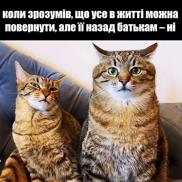 Кардинальний Рішельє на we.ua