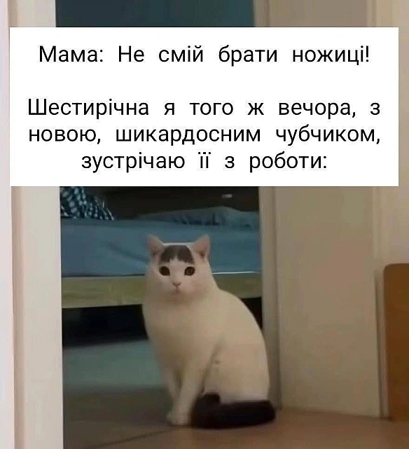 Баба і Кіт на we.ua