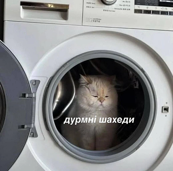 Баба і Кіт на we.ua