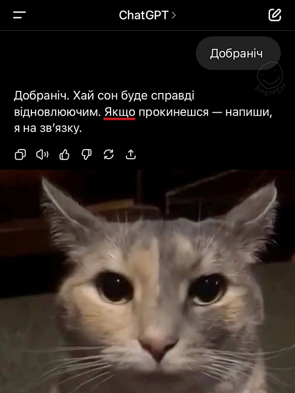 ауч - Баба і Кіт на we.ua