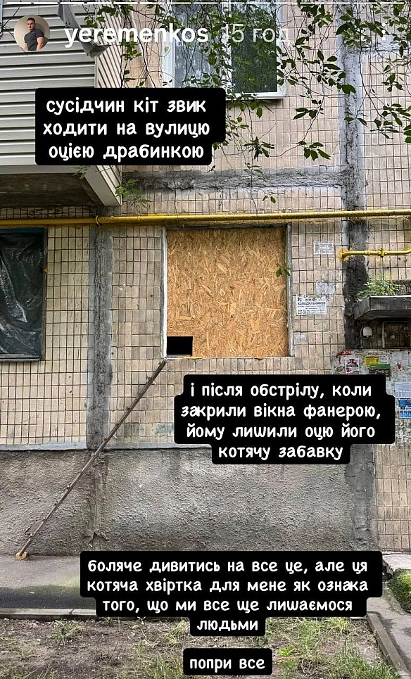 Баба і Кіт на we.ua