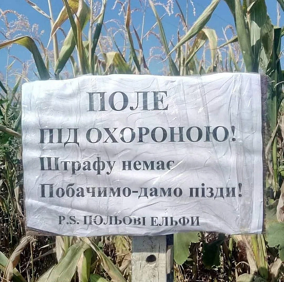 Баба і Кіт на we.ua