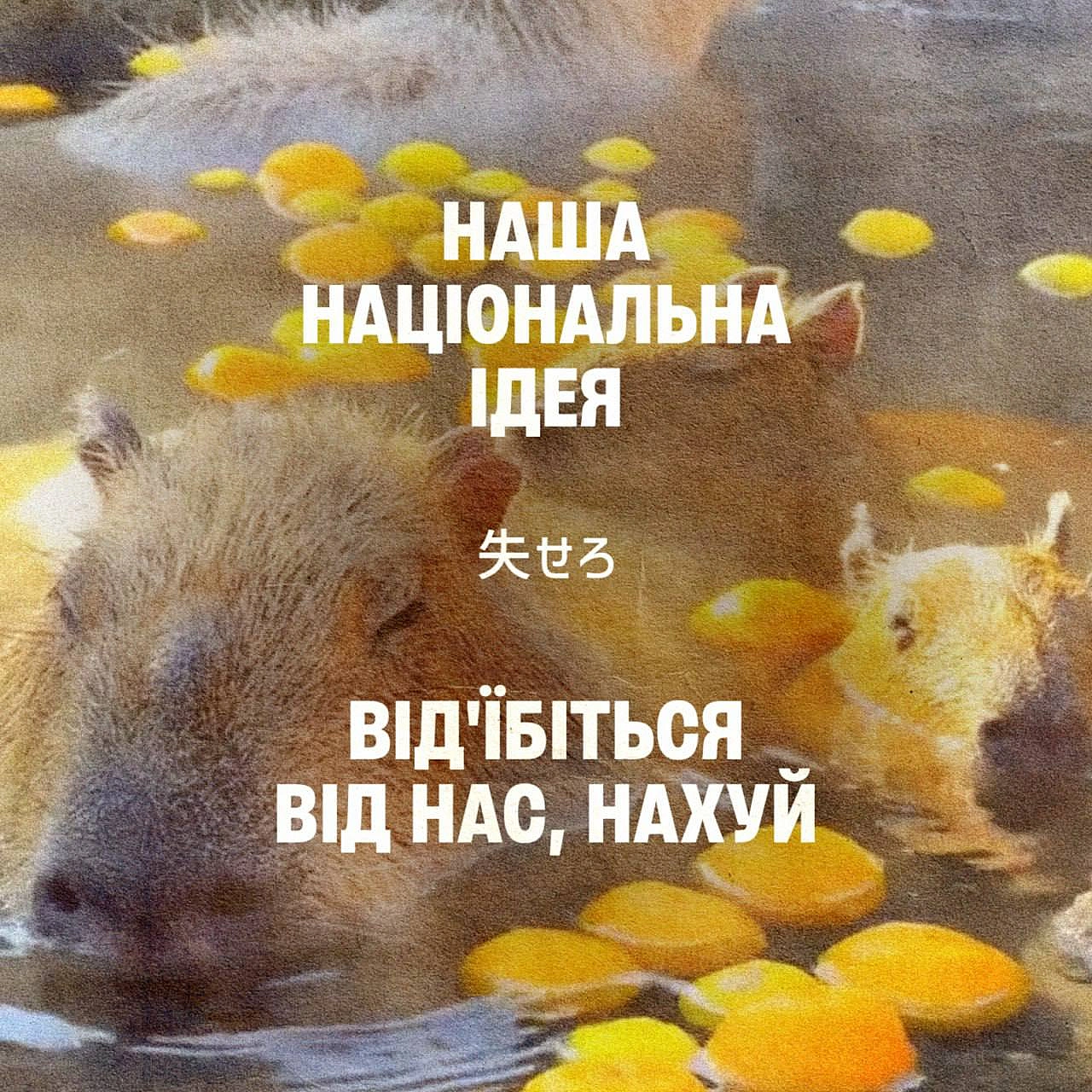 Баба і Кіт на we.ua