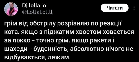 Баба і Кіт на we.ua