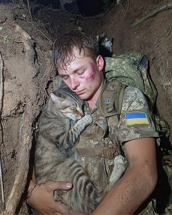 Баба і Кіт на we.ua