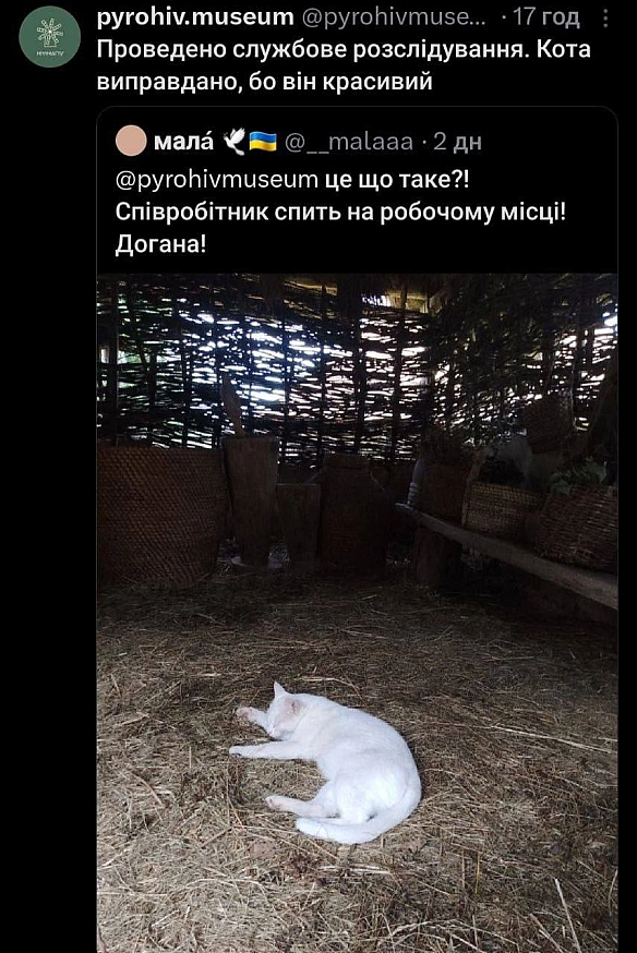 Баба і Кіт на we.ua