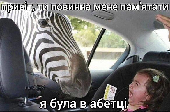 Баба і Кіт на we.ua