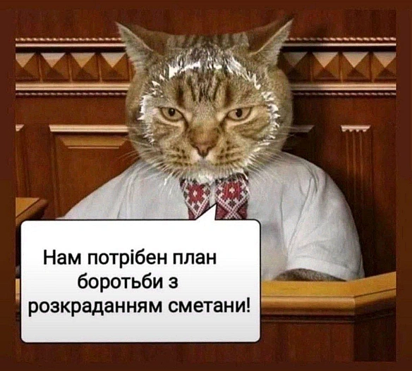 Баба і Кіт на we.ua