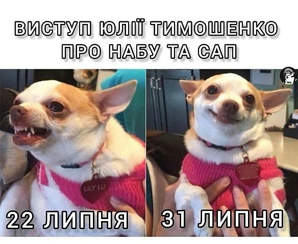 Баба і Кіт на we.ua