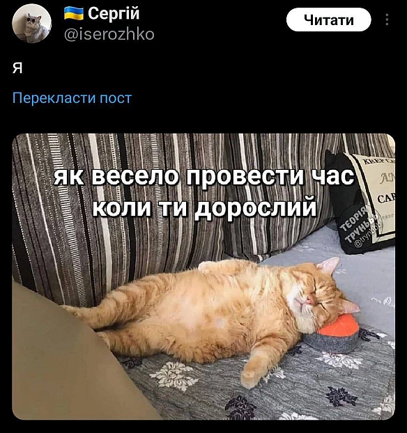 Баба і Кіт на we.ua