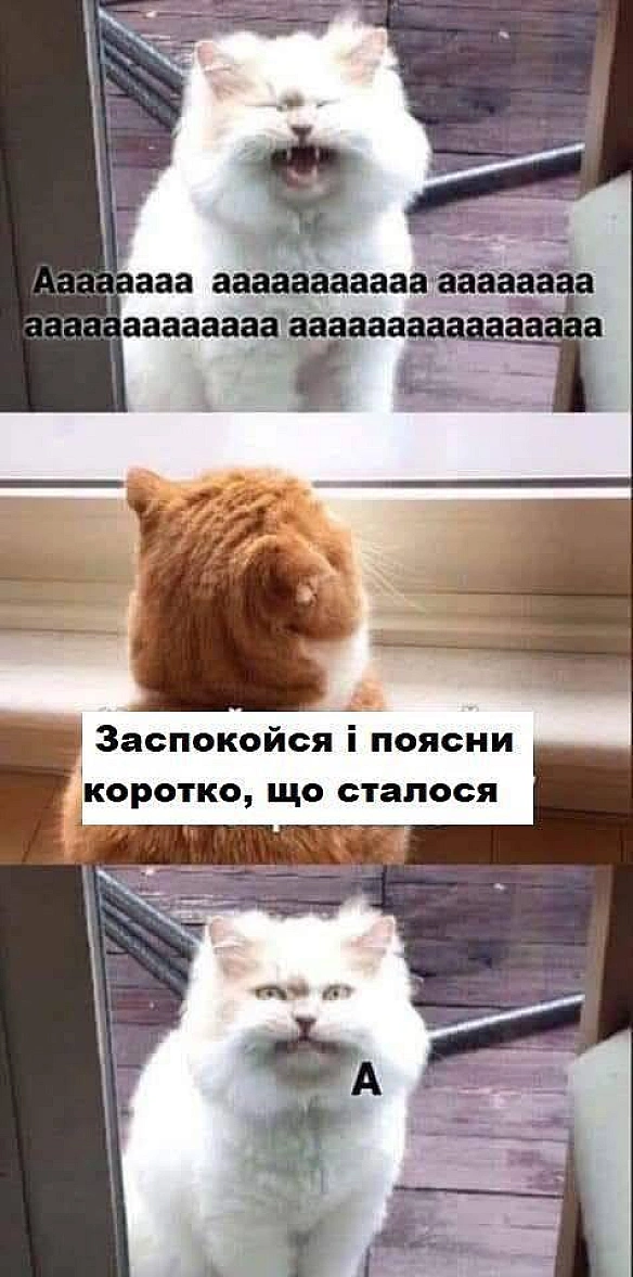 Баба і Кіт на we.ua