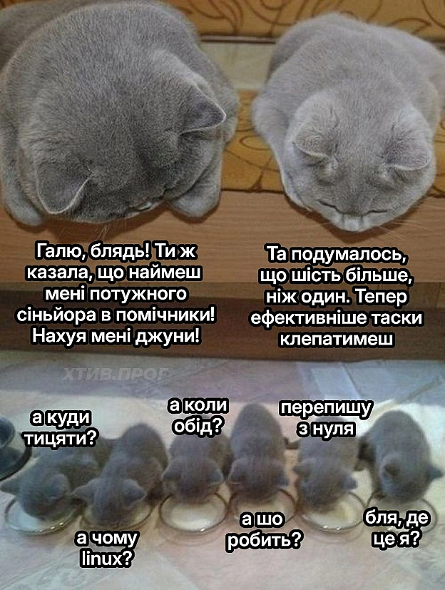 Підманула-підвела! - Хтивий Програміст на we.ua