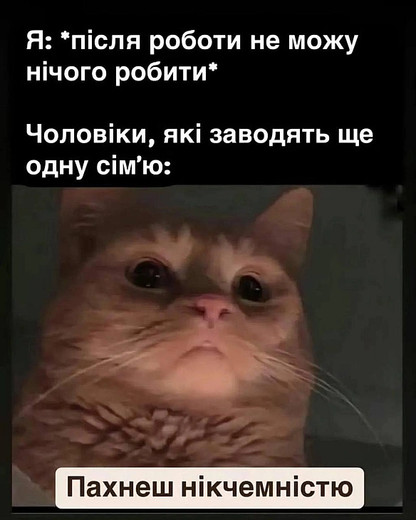 Баба і Кіт на we.ua