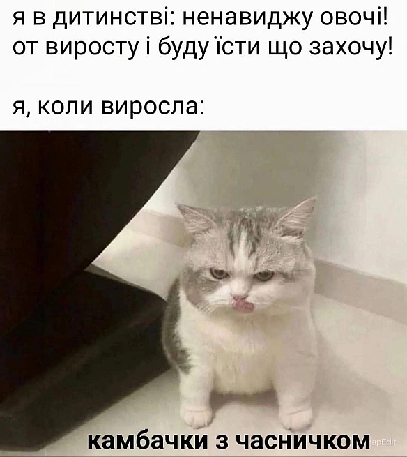 on we.ua