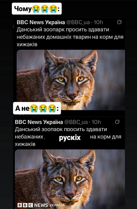 on we.ua
