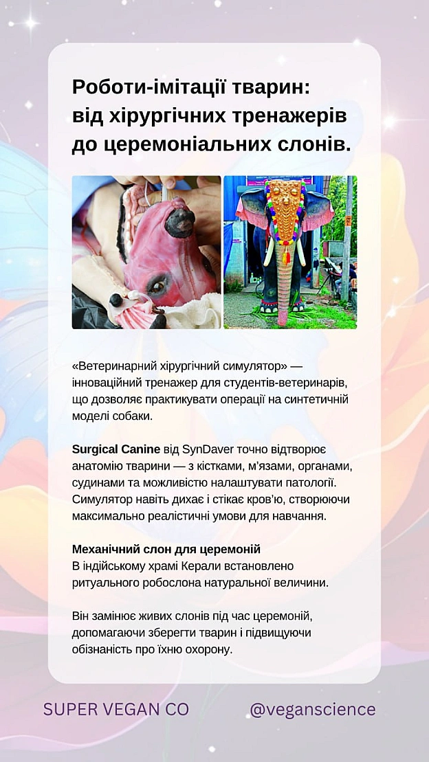 Роботи-компаньйони, які підтримують веганство та права тваринЦі роботи — не просто технологічні інновації, а інструменти зміни... - 🚀 Веганка: наука та інновації на we.ua