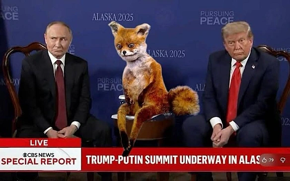 Баба і Кіт на we.ua
