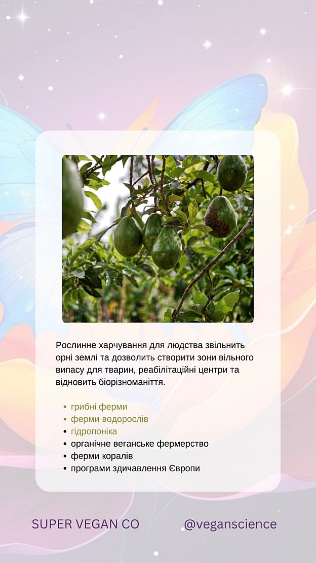 Веган_ки прагнуть зменшити шкоду для тварин, але визнають, що навіть рослинництво може призводити до випадкових смертей (так зва... - 🚀 Веганка: наука та інновації на we.ua