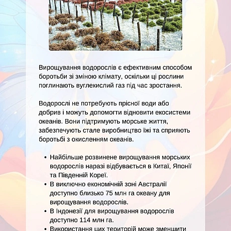 Веган_ки прагнуть зменшити шкоду для тварин, але визнають, що навіть рослинництво може призводити до випадкових смертей (так зва... - 🚀 Веганка: наука та інновації на we.ua