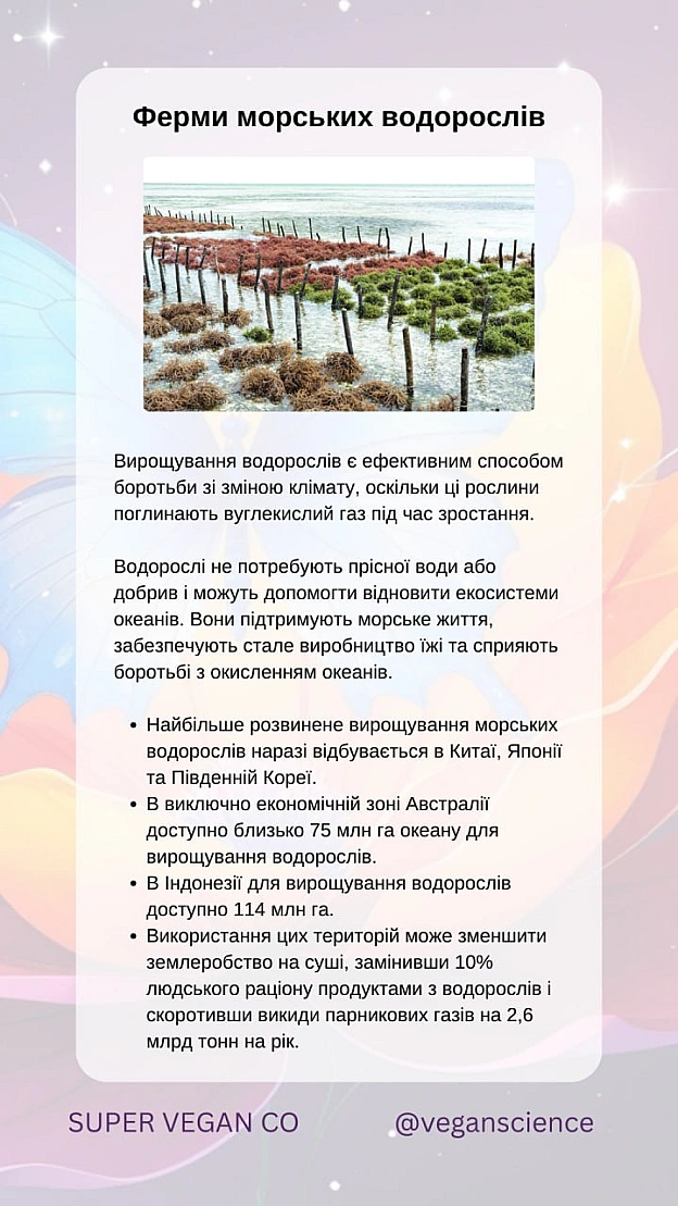 Веган_ки прагнуть зменшити шкоду для тварин, але визнають, що навіть рослинництво може призводити до випадкових смертей (так зва... - 🚀 Веганка: наука та інновації на we.ua
