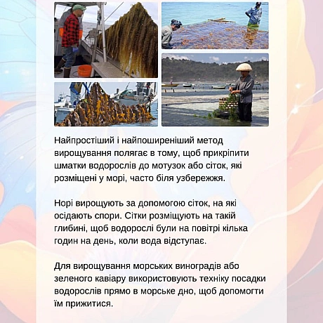Веган_ки прагнуть зменшити шкоду для тварин, але визнають, що навіть рослинництво може призводити до випадкових смертей (так зва... - 🚀 Веганка: наука та інновації на we.ua