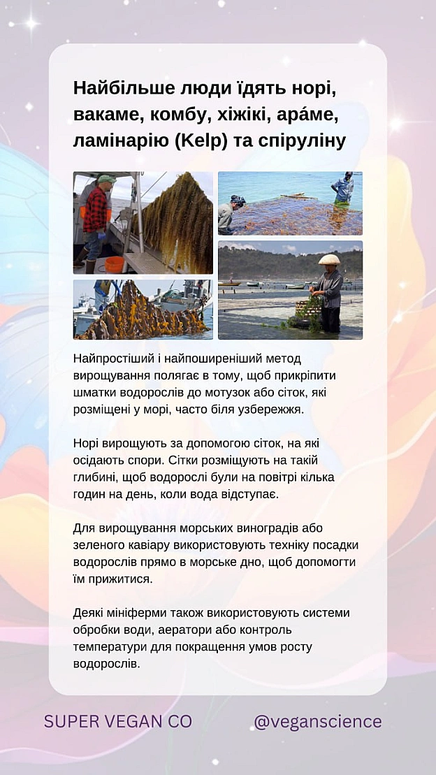 Веган_ки прагнуть зменшити шкоду для тварин, але визнають, що навіть рослинництво може призводити до випадкових смертей (так зва... - 🚀 Веганка: наука та інновації на we.ua