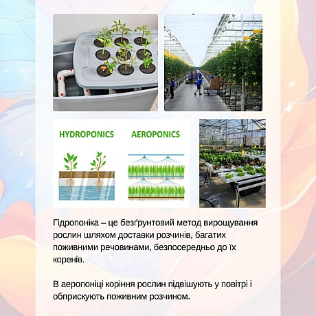 Веган_ки прагнуть зменшити шкоду для тварин, але визнають, що навіть рослинництво може призводити до випадкових смертей (так зва... - 🚀 Веганка: наука та інновації на we.ua