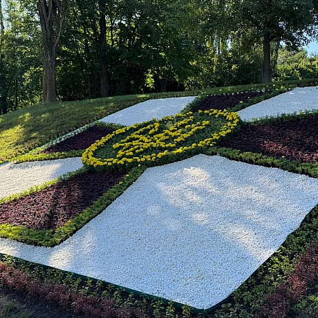 🌸До Дня Незалежності Київ розквітнув у патріотичних барвах🌻🇺🇦До святкування 34-ї річниці Незалежності в усіх районах столиці з... - КМДА – офіційний канал на we.ua