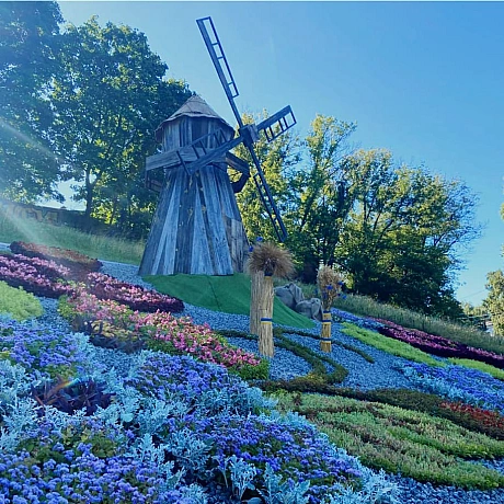 🌸До Дня Незалежності Київ розквітнув у патріотичних барвах🌻🇺🇦До святкування 34-ї річниці Незалежності в усіх районах столиці з... - КМДА – офіційний канал на we.ua
