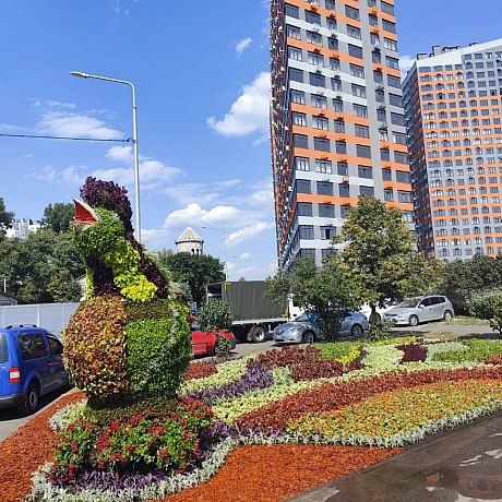 🌸До Дня Незалежності Київ розквітнув у патріотичних барвах🌻🇺🇦До святкування 34-ї річниці Незалежності в усіх районах столиці з... - КМДА – офіційний канал на we.ua